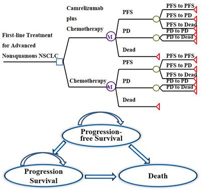 Cost-Utility Analysis of Camrelizumab Plus Chemotherapy Versus Chemotherapy Alone as a First-Line Treatment for Advanced Nonsquamous Non-Small Cell Lung Cancer in China